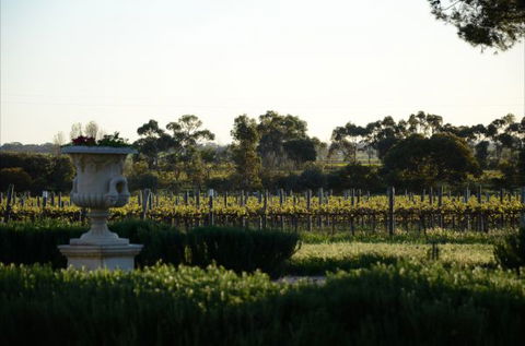 Angas Plains Estate Wines Heritage Suite - Lennox Head Accommodation 6