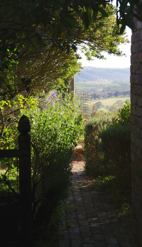 Pear Tree Hollow - Lennox Head Accommodation 7