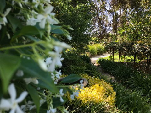 The Reserve Barossa Valley - Lennox Head Accommodation 4