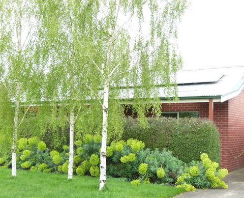 Birralee Cottage - Lennox Head Accommodation 0