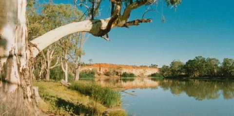 Border Cliffs River Retreat - Lennox Head Accommodation 0