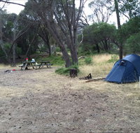 Allports Beach Camping Ground - Lennox Head Accommodation