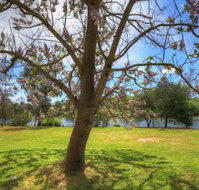 Breakaway Twin Rivers Caravan Park - Lennox Head Accommodation