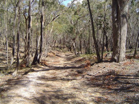 Bushmans Lookout - Lennox Head Accommodation 3