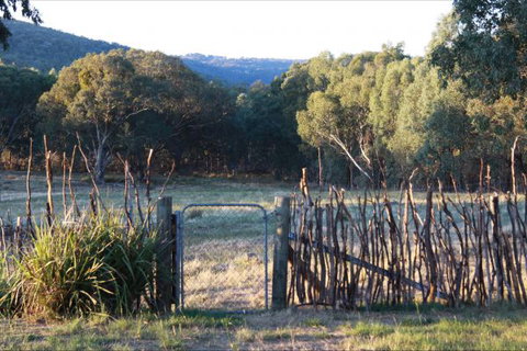 Candlebark Retreat - Lennox Head Accommodation 3