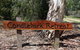 Candlebark Retreat - thumb 4