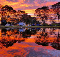 Coonawarra Bush Holiday Park - Lennox Head Accommodation