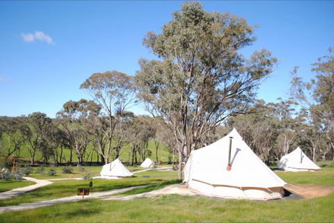 Cosy Tents - Lennox Head Accommodation 5