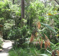 Dunns Creek Downs Nature Stay - Lennox Head Accommodation