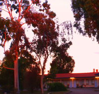 Murray Bridge Central Olympic Motel and Cottages - Lennox Head Accommodation