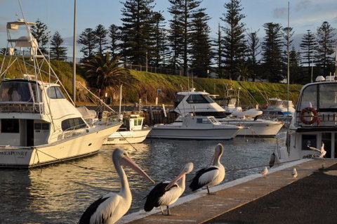 Nautica Accommodation Gerringong - Lennox Head Accommodation 2
