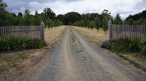 Oakhill Cottage - Lennox Head Accommodation 7