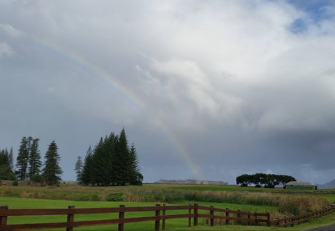 Seaview Hotel And Cottages Norfolk Island - Lennox Head Accommodation 5