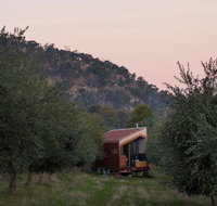 Shacky in the Olive Grove - Lennox Head Accommodation