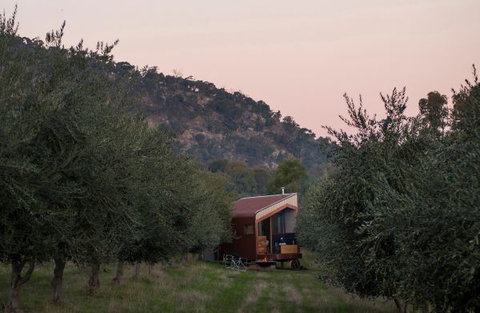 Shacky In The Olive Grove - Lennox Head Accommodation 0