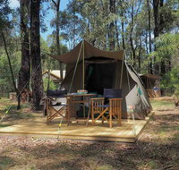 Tall Trees Camping on the Great Ocean Road - Lennox Head Accommodation