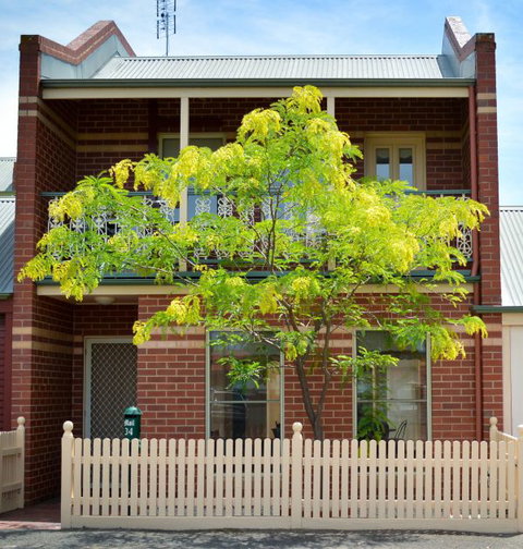 Turner Terrace - Lennox Head Accommodation 0