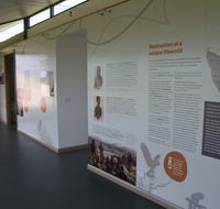 Whitestone Apartments - Lennox Head Accommodation