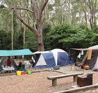 Pebbly Beach campground - Yuraygir National Park - Lennox Head Accommodation