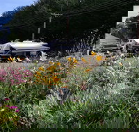 Millicent Showground RV Park - Lennox Head Accommodation