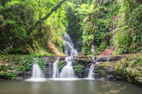 O'Reilly's Rainforest Retreat - Lennox Head Accommodation 0