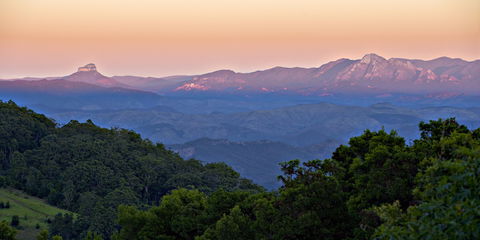 O'Reilly's Rainforest Retreat - Lennox Head Accommodation 1
