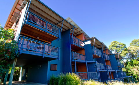 O'Reilly's Rainforest Retreat - Lennox Head Accommodation 7