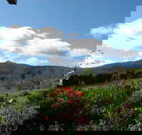 Plovers Ridge Country Retreat - Lennox Head Accommodation