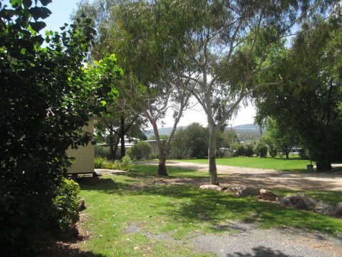 Tenterfield Lodge Caravan Park - Lennox Head Accommodation 1