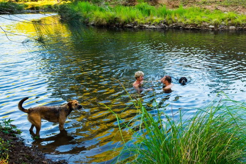 Terania Green Boutique Eco Cottages - Lennox Head Accommodation 4