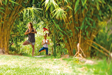 Eternity Springs Art Farm Bed And Breakfast - Lennox Head Accommodation 2