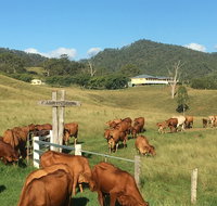 Farringdon Homestead - Lennox Head Accommodation