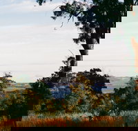 Hilltop Barn at Swan Bay - Lennox Head Accommodation