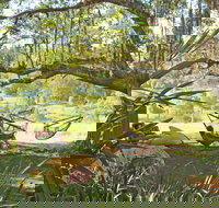 Nimbin Rox YHA - Lennox Head Accommodation