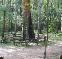 Six Mile Creek campground - Lennox Head Accommodation
