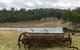 Terab Park Farm - thumb 4
