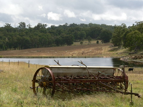 Terab Park Farm - Lennox Head Accommodation 4