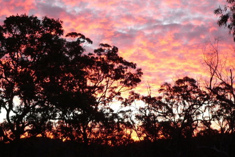 Terab Park Farm - Lennox Head Accommodation 5