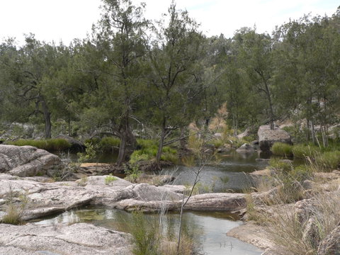 Terab Park Farm - Lennox Head Accommodation 6