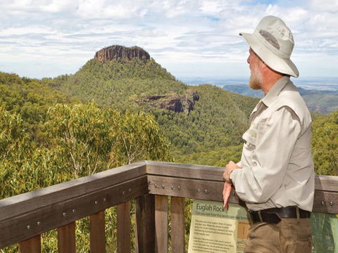 Bark Hut Picnic Area And Campground - Lennox Head Accommodation 0