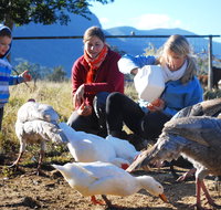 Cedar Glen Farmstay - Lennox Head Accommodation