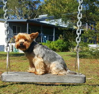 Finchley Bed and Breakfast Pet Friendly - Lennox Head Accommodation