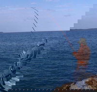 North Head Camping Area - Lennox Head Accommodation