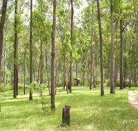 Nymboida River campground - Lennox Head Accommodation