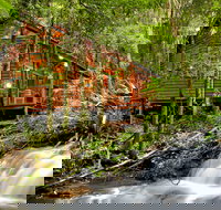 The Mouses House - Rainforest Retreat - Lennox Head Accommodation