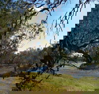 Yanda campground - Lennox Head Accommodation