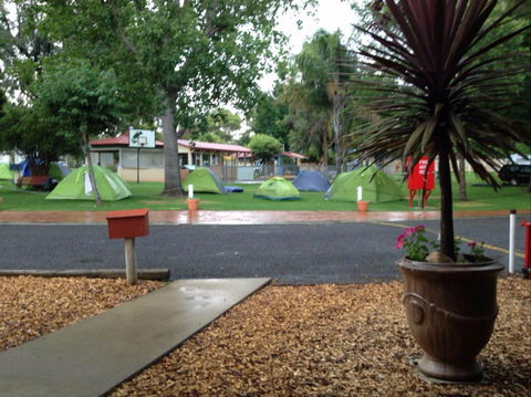 Young Caravan Tourist Park - Lennox Head Accommodation 0