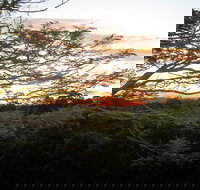 Annie's Place Bed and Breakfast - Lennox Head Accommodation