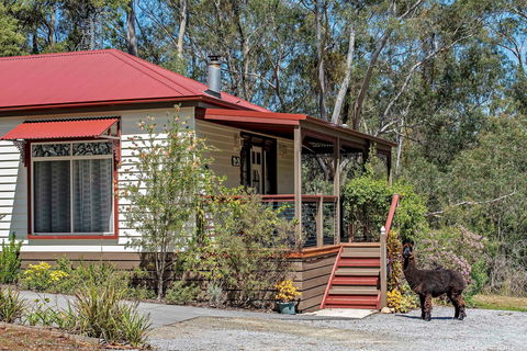 Araluen Park Cottages - Lennox Head Accommodation 0
