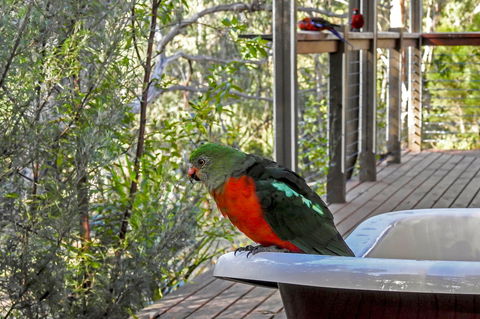 Araluen Park Cottages - Lennox Head Accommodation 2